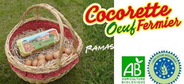 偉迪捷大字符噴碼機實現(xiàn)Kettle Foods外箱噴碼