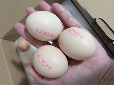 瀏覽全球網絡，您還能找到比這個更全面的雞蛋噴碼機解決方案嗎？