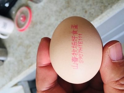 瀏覽全球網絡，您還能找到比這個更全面的雞蛋噴碼機解決方案嗎？