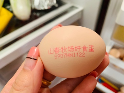 瀏覽全球網絡，您還能找到比這個更全面的雞蛋噴碼機解決方案嗎？